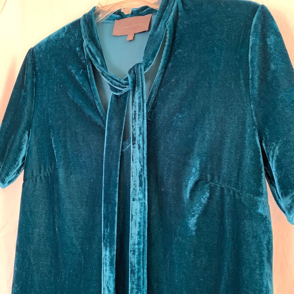 Sunday in Brooklyn deep teal velvet tie neck top/shirt - Picture 4 of 6